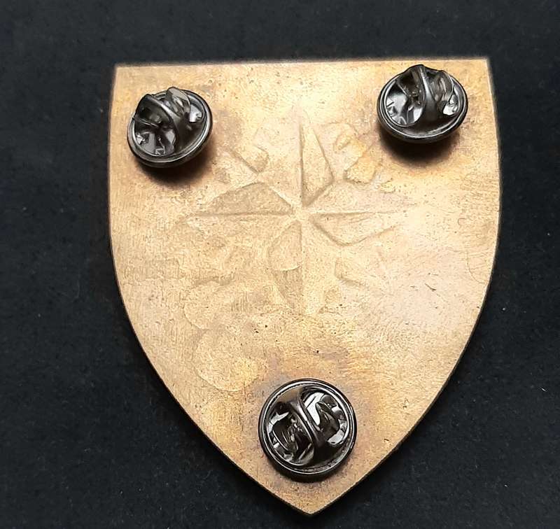 * *Border War : 1988 SADF Reconnaissance Regiment 'Recce' HQ Lucite Flash x1 (All Pins).**