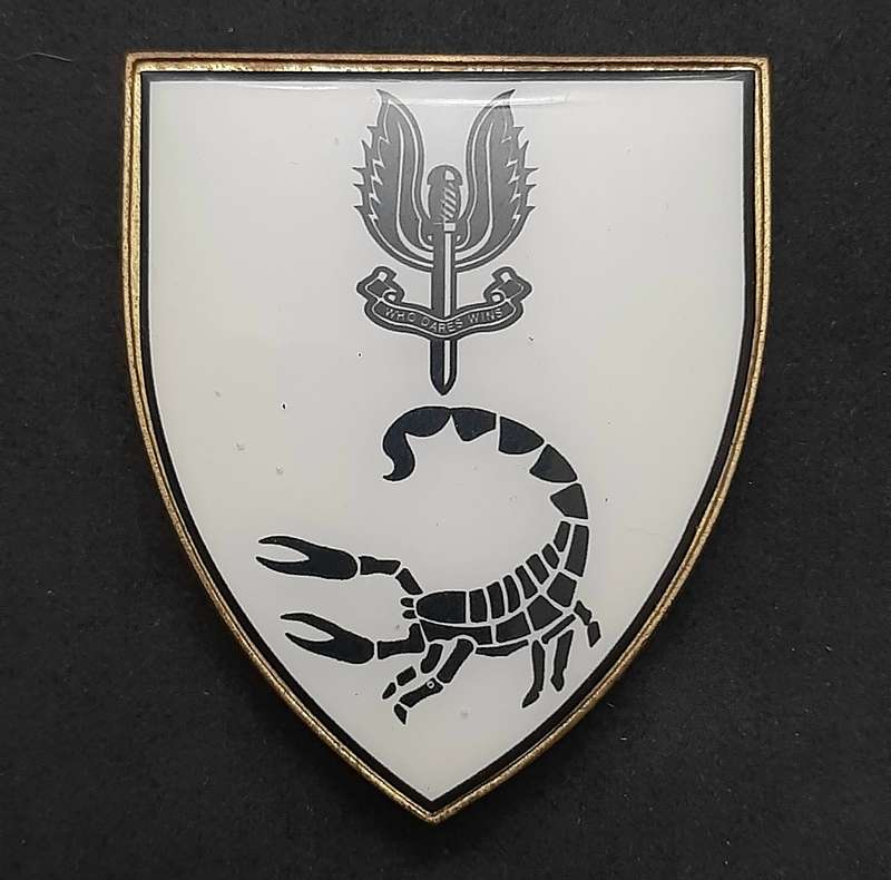 **RARE: 1980s Prototype 6 Reconnaissance Regiment 'Recce' Flash .NOT ISSUE.  ( All Pins).**