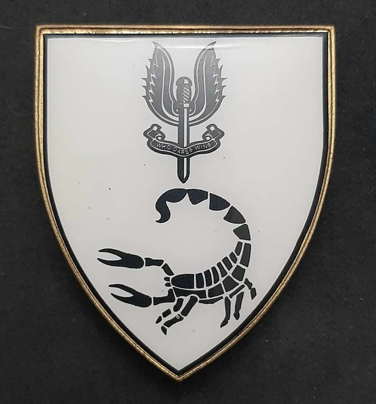 **RARE: 1980s Prototype 6 Reconnaissance Regiment 'Recce' Flash .NOT ISSUE.  ( All Pins).**