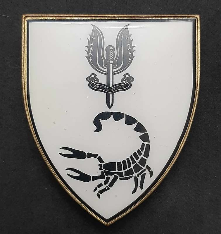 **RARE: 1980s Prototype 6 Reconnaissance Regiment 'Recce' Flash .NOT ISSUE.  ( All Pins).**