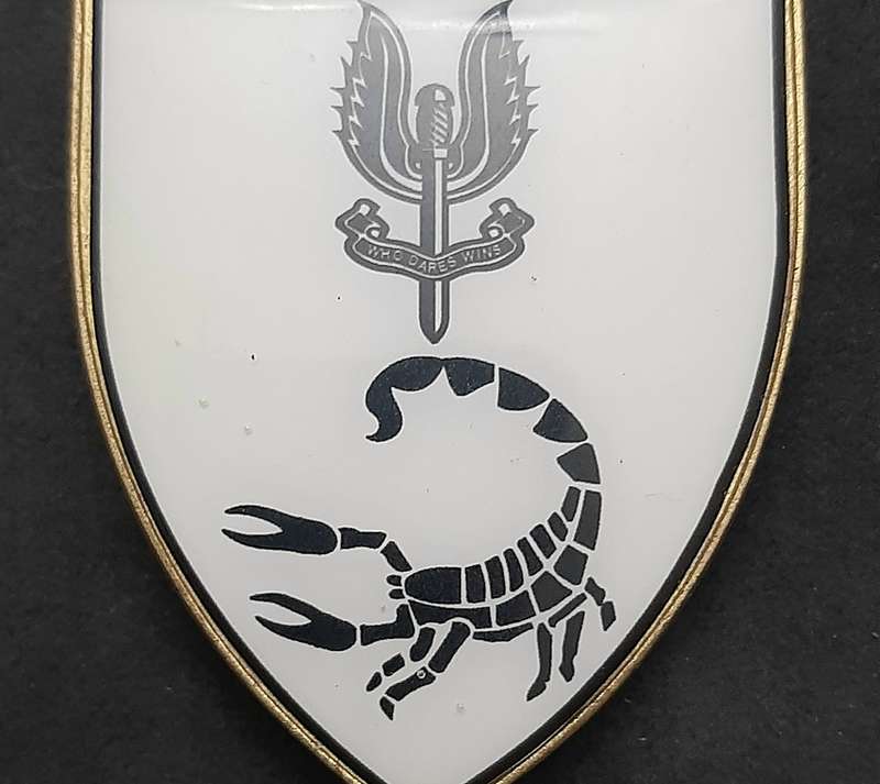 **RARE: 1980s Prototype 6 Reconnaissance Regiment 'Recce' Flash .NOT ISSUE.  ( All Pins).**