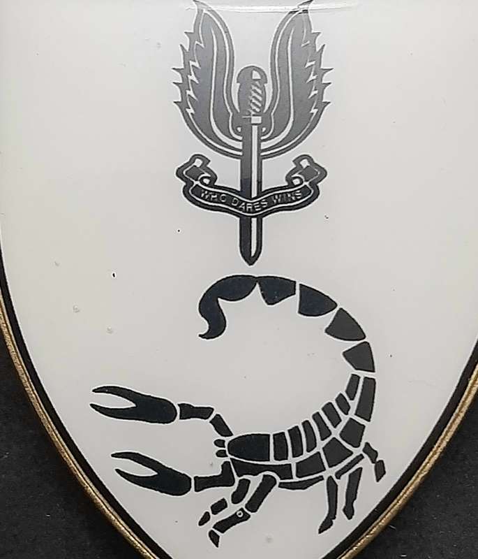 **RARE: 1980s Prototype 6 Reconnaissance Regiment 'Recce' Flash .NOT ISSUE.  ( All Pins).**
