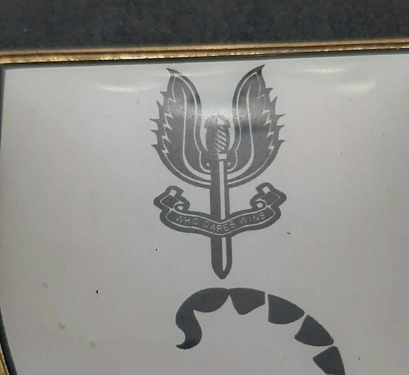 **RARE: 1980s Prototype 6 Reconnaissance Regiment 'Recce' Flash .NOT ISSUE.  ( All Pins).**
