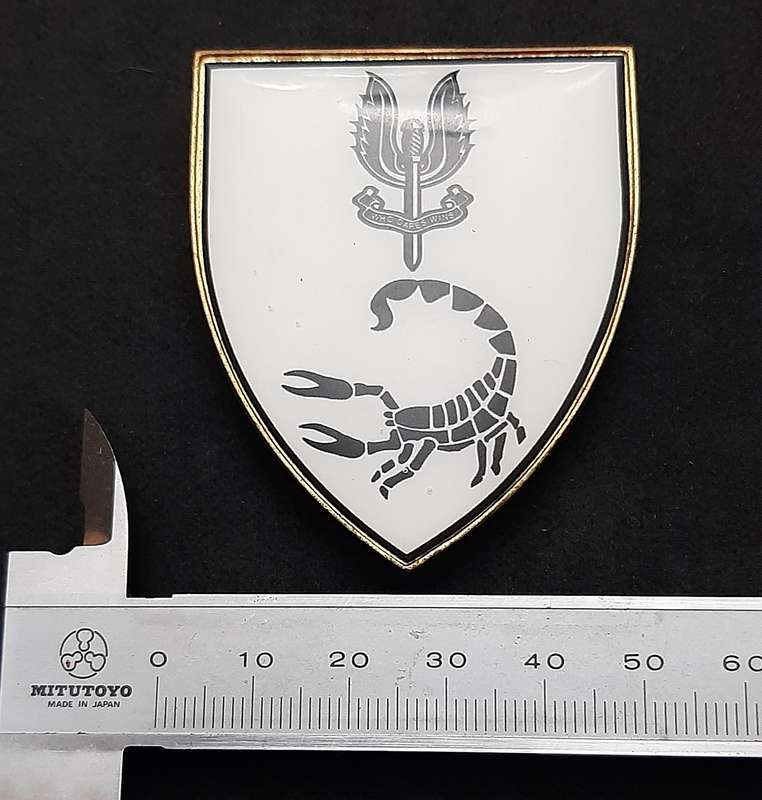 **RARE: 1980s Prototype 6 Reconnaissance Regiment 'Recce' Flash .NOT ISSUE.  ( All Pins).**