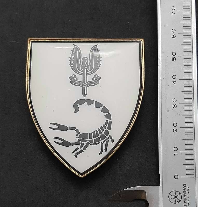 **RARE: 1980s Prototype 6 Reconnaissance Regiment 'Recce' Flash .NOT ISSUE.  ( All Pins).**
