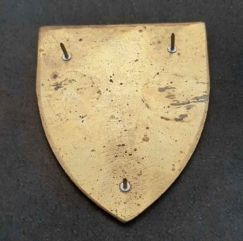 **RARE: 1980s Prototype 6 Reconnaissance Regiment 'Recce' Flash .NOT ISSUE.  ( All Pins).**