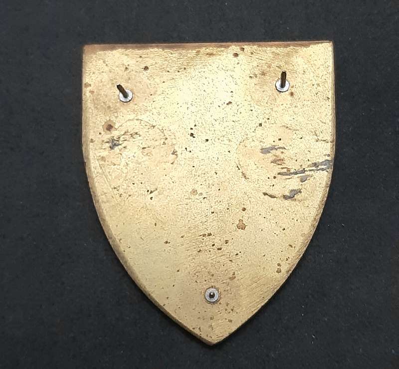 **RARE: 1980s Prototype 6 Reconnaissance Regiment 'Recce' Flash .NOT ISSUE.  ( All Pins).**