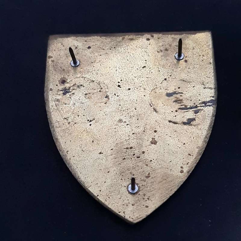**RARE: 1980s Prototype 6 Reconnaissance Regiment 'Recce' Flash .NOT ISSUE.  ( All Pins).**