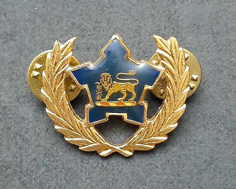 Border War: 1980s SA Navy Metal 5 -Year Volunteer Breast Badge ( Pins Intact).