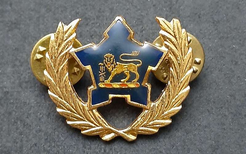 Border War: 1980s SA Navy Metal 5 -Year Volunteer Breast Badge ( Pins Intact).