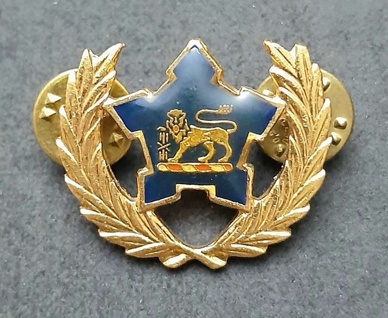 Border War: 1980s SA Navy Metal 5 -Year Volunteer Breast Badge ( Pins Intact).