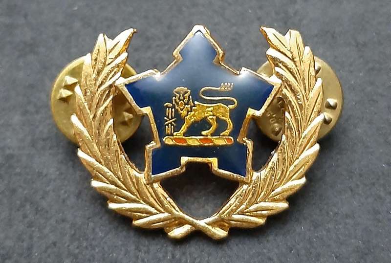 Border War: 1980s SA Navy Metal 5 -Year Volunteer Breast Badge ( Pins Intact).