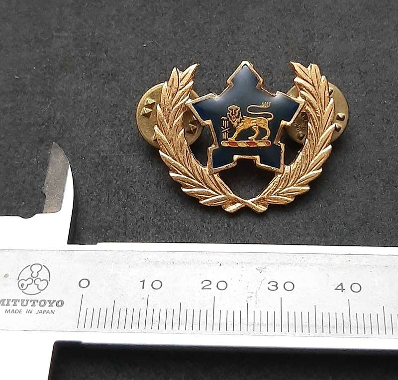 Border War: 1980s SA Navy Metal 5 -Year Volunteer Breast Badge ( Pins Intact).
