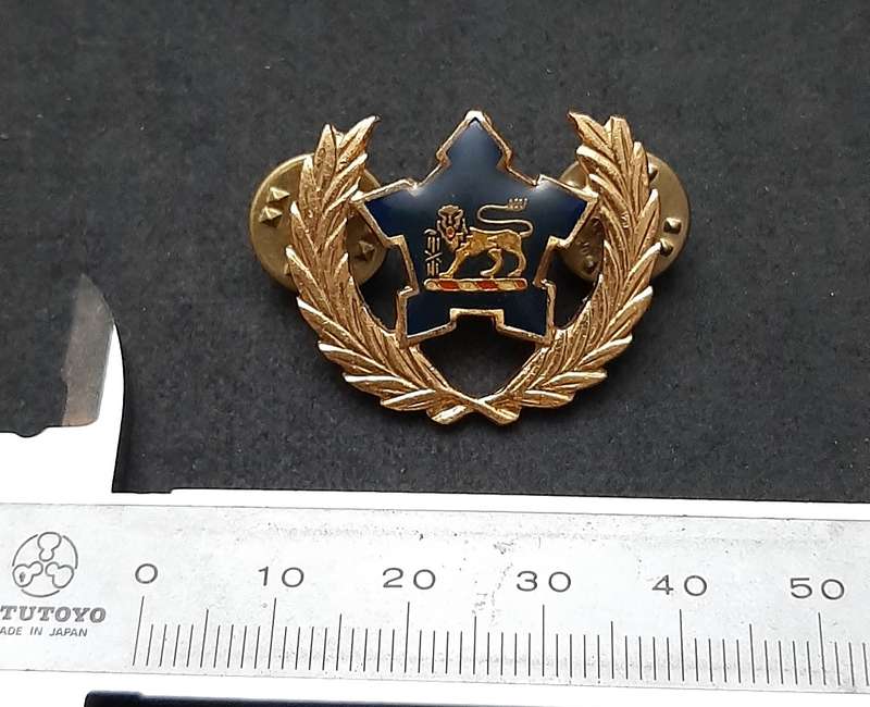 Border War: 1980s SA Navy Metal 5 -Year Volunteer Breast Badge ( Pins Intact).