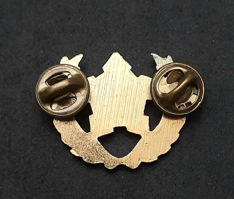 Border War: 1980s SA Navy Metal 5 -Year Volunteer Breast Badge ( Pins Intact).