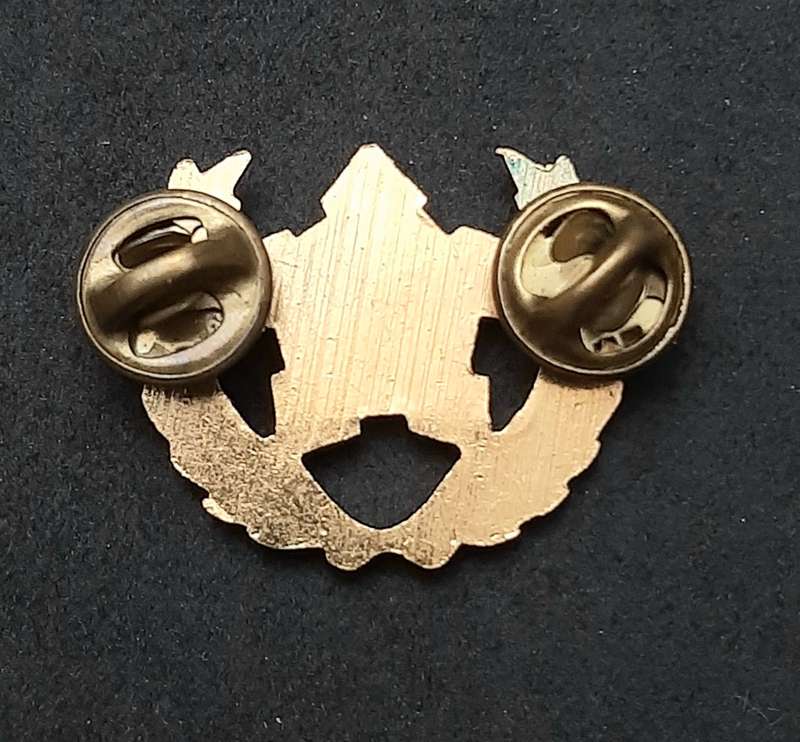 Border War: 1980s SA Navy Metal 5 -Year Volunteer Breast Badge ( Pins Intact).