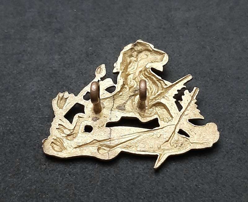 Rhodesia 1950s : British South Africa Police Brass Pith Helmet / Cap Badge w/ Lugs.