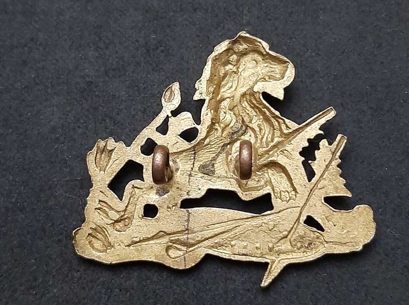 Rhodesia 1950s : British South Africa Police Brass Pith Helmet / Cap Badge w/ Lugs.
