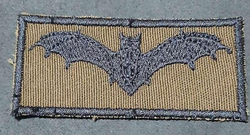 RARE: Border War- 1980s SADF Junior 'Recce' Nutria Fielddress Qualification Badge.