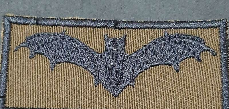 RARE: Border War- 1980s SADF Junior 'Recce' Nutria Fielddress Qualification Badge.
