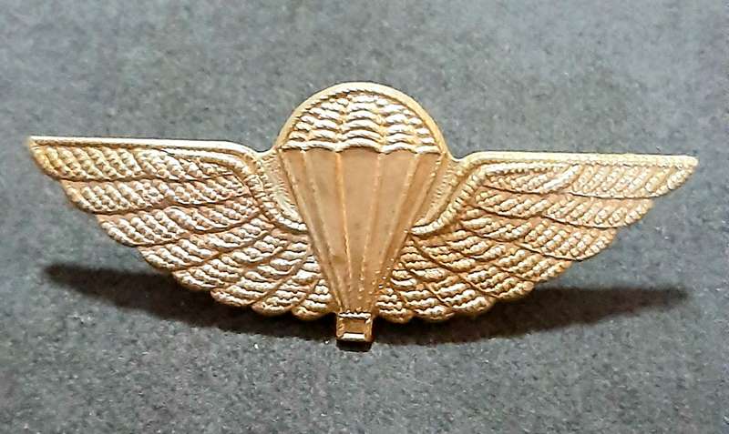 RARE: 1980s British S.A.S Silver Metallic HALO Dress Parachute Wing (Lugs Intact).