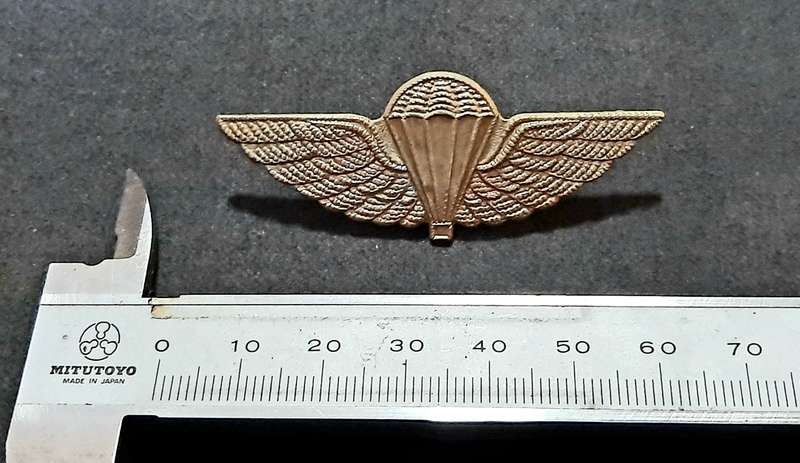 RARE: 1980s British S.A.S Silver Metallic HALO Dress Parachute Wing (Lugs Intact).