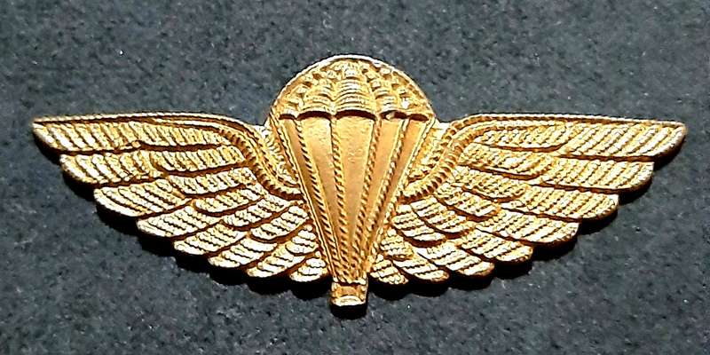 RARE: 1980s Australian S.A.S Bronze Metallic HALO Dress Parachute Wing #2 (No Lugs).