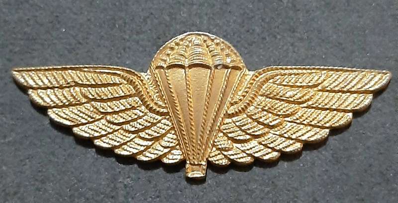 RARE: 1980s Australian S.A.S Bronze Metallic HALO Dress Parachute Wing #2 (No Lugs).