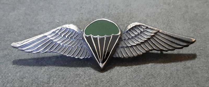RARE: Border War-  1970s SADF Unofficial Parachute Batt. 'Night Test Jump' Wing w/ Enamel Inlay