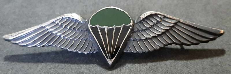 RARE: Border War-  1970s SADF Unofficial Parachute Batt. 'Night Test Jump' Wing w/ Enamel Inlay