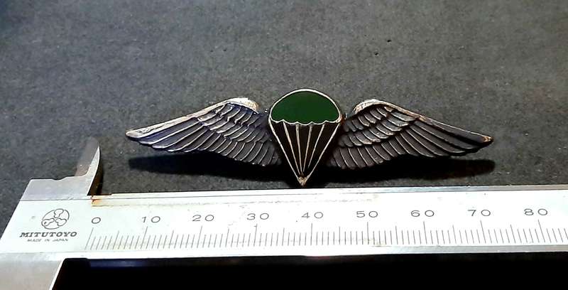RARE: Border War-  1970s SADF Unofficial Parachute Batt. 'Night Test Jump' Wing w/ Enamel Inlay