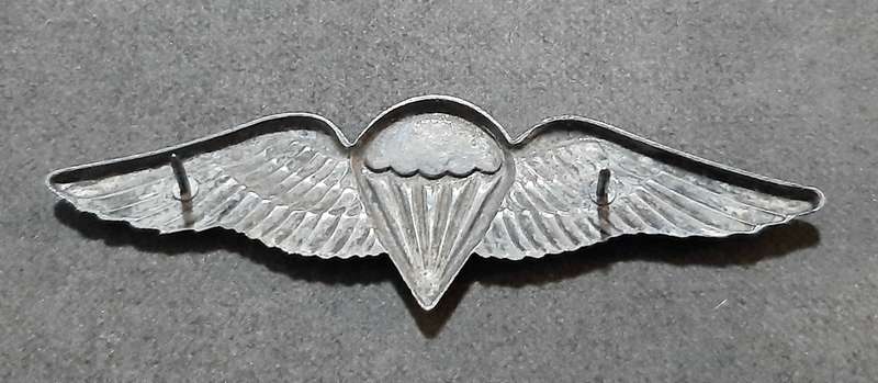 RARE: Border War-  1970s SADF Unofficial Parachute Batt. 'Night Test Jump' Wing w/ Enamel Inlay