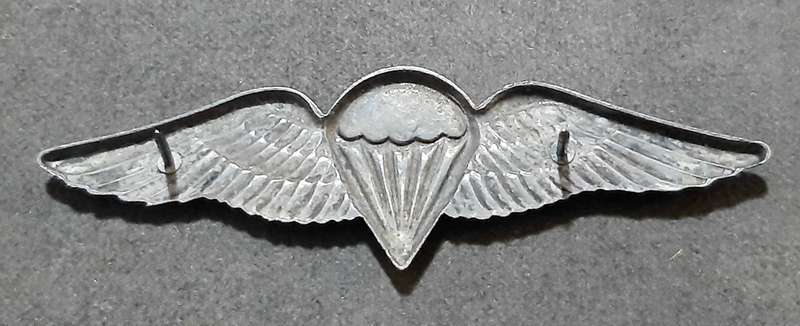 RARE: Border War-  1970s SADF Unofficial Parachute Batt. 'Night Test Jump' Wing w/ Enamel Inlay