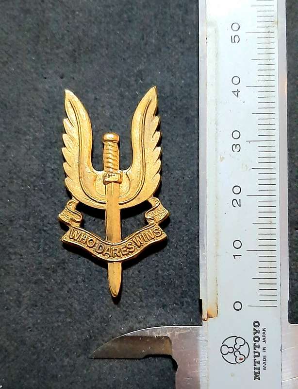 RARE: 1980s British S.A.S Bronze Metallic Beret Badge #2 (No Slide)..