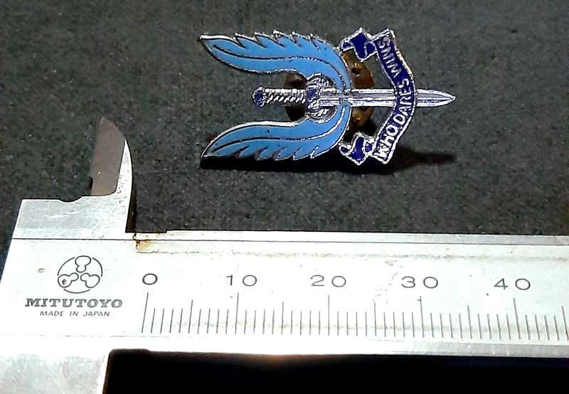 RARE: 1990s British S.A.S Metallic Lapel Badge w/ Enamel Inlay (Pin Intact).