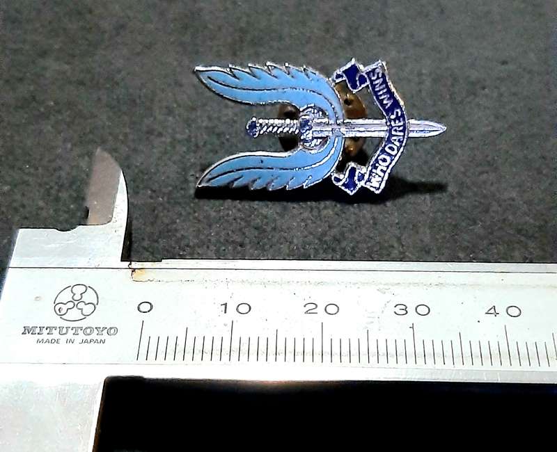 RARE: 1990s British S.A.S Metallic Lapel Badge w/ Enamel Inlay (Pin Intact).