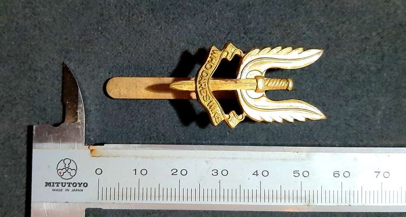 RARE: 1980s British S.A.S Bronze Metallic Beret Badge w/ Slide.