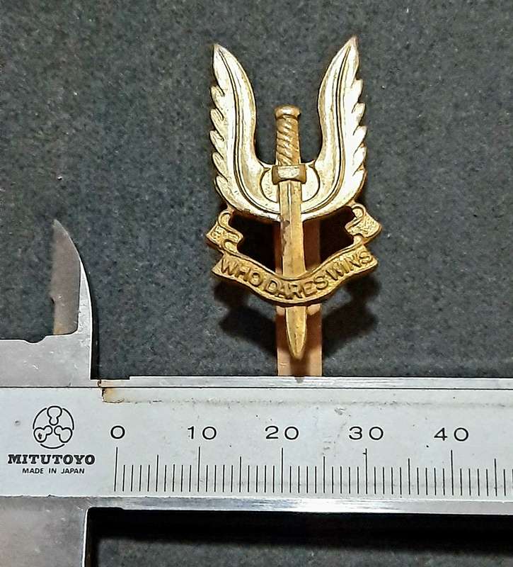 RARE: 1980s British S.A.S Bronze Metallic Beret Badge w/ Slide.