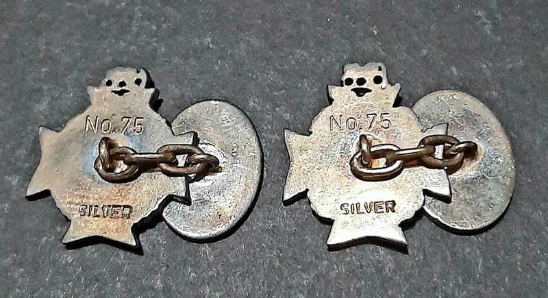 RARE: Rhodesian Bush War- .925 Silver Rhodesia Regiment Cufflinks Att. Major Vaughn w/ Presentation