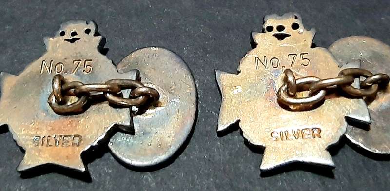 RARE: Rhodesian Bush War- .925 Silver Rhodesia Regiment Cufflinks Att. Major Vaughn w/ Presentation