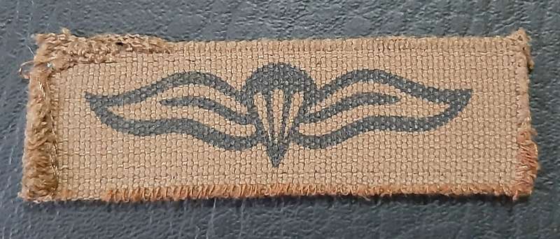 Border War: 1980s SADF Nutria Printed Static-Line Parachute Wing Qualification Badge (ex-Mount).