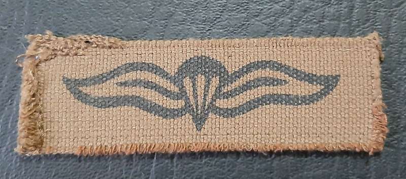 Border War: 1980s SADF Nutria Printed Static-Line Parachute Wing Qualification Badge (ex-Mount).