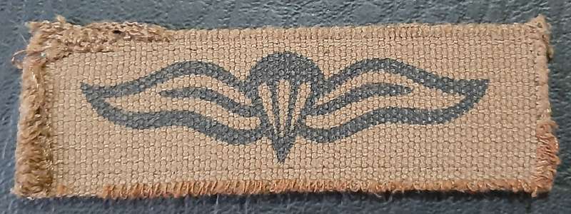 Border War: 1980s SADF Nutria Printed Static-Line Parachute Wing Qualification Badge (ex-Mount).
