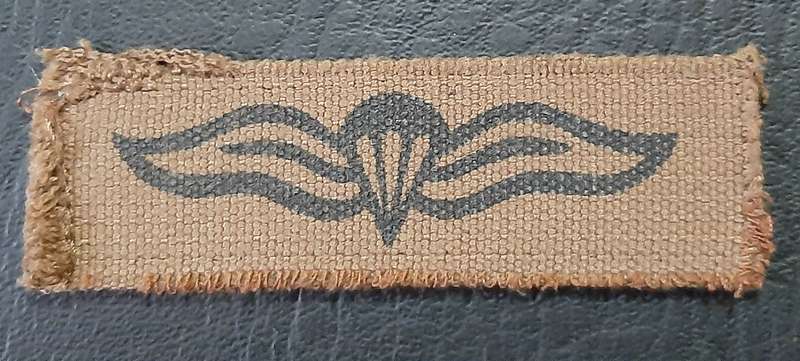 Border War: 1980s SADF Nutria Printed Static-Line Parachute Wing Qualification Badge (ex-Mount).