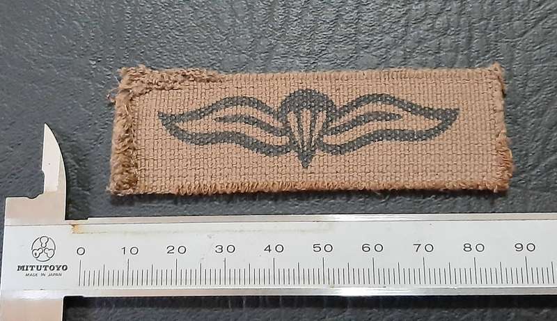 Border War: 1980s SADF Nutria Printed Static-Line Parachute Wing Qualification Badge (ex-Mount).