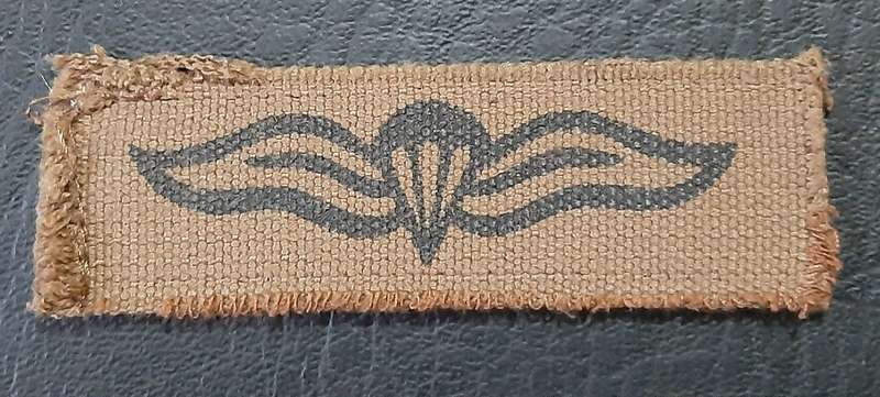 Border War: 1980s SADF Nutria Printed Static-Line Parachute Wing Qualification Badge (ex-Mount).