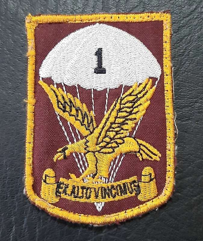 Border War: 1980s SADF 1 Parachute Battalion Embroidered Unit Tracksuit Badge.