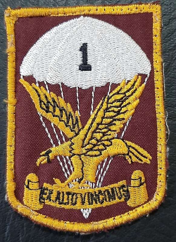 Border War: 1980s SADF 1 Parachute Battalion Embroidered Unit Tracksuit Badge.