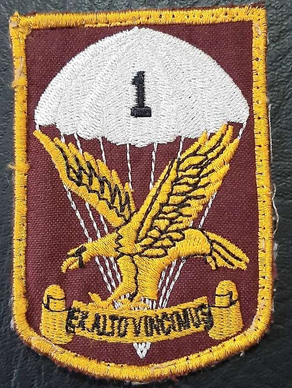 Border War: 1980s SADF 1 Parachute Battalion Embroidered Unit Tracksuit Badge.