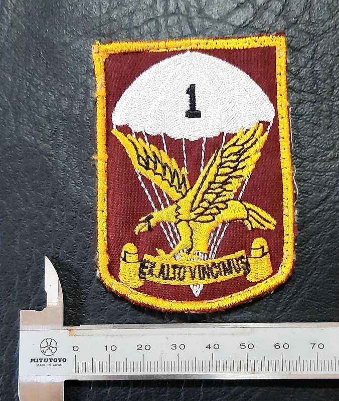 Border War: 1980s SADF 1 Parachute Battalion Embroidered Unit Tracksuit Badge.